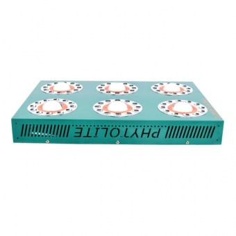 Clorofilla495_up.jpg