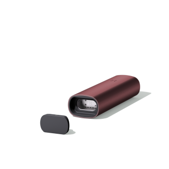 PAX3_Burgundy_2