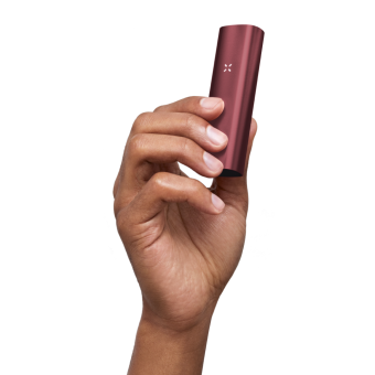 PAX3_Burgundy_4
