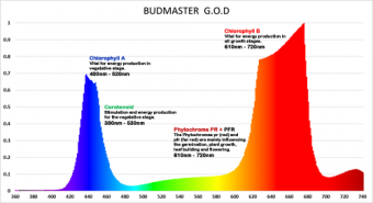 god_absorption_small585c3de26c9c9.png