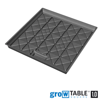 growtable_10_c001.png