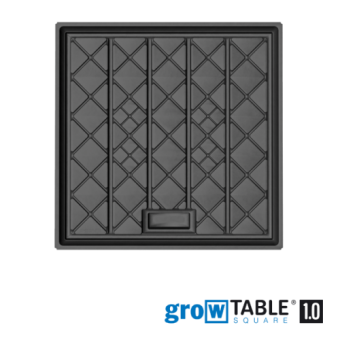 growtable_10_e001.png